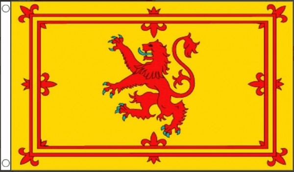 Vlag Schotland leeuw 60x90cm