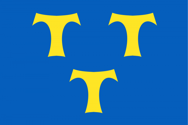 Vlag Lede