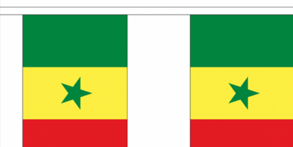 Vlaggenlijn Senegal - 3 meter I stof