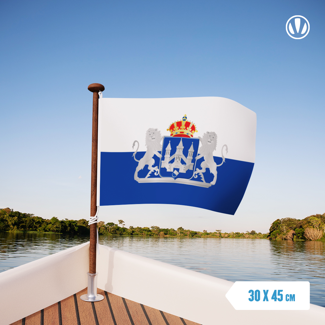 Vlag Kampen met Wapen 30x45cm | Vlaggenclub