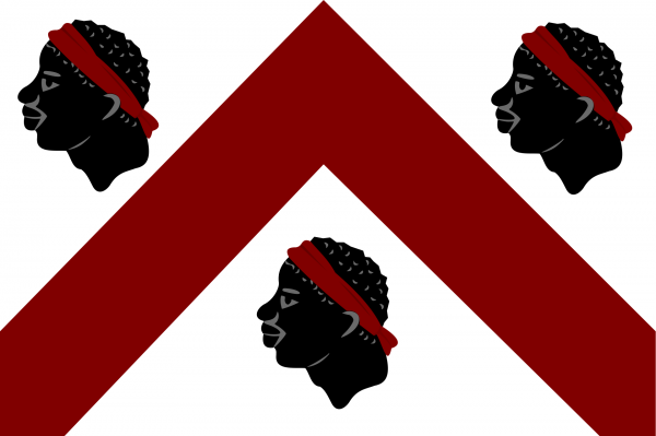 Vlag Lennik
