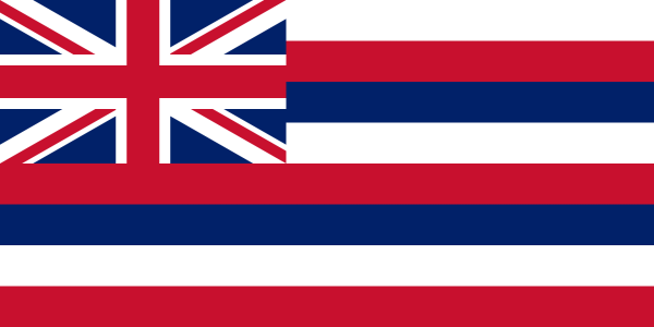 Vlag Hawaï 70x100cm