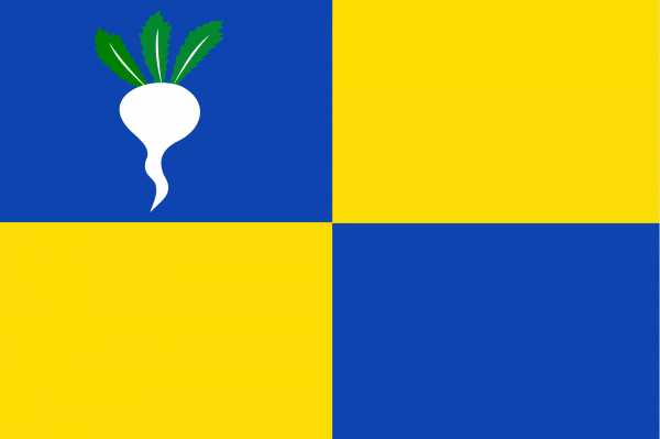 Vlag Sint-Gillis-Waas