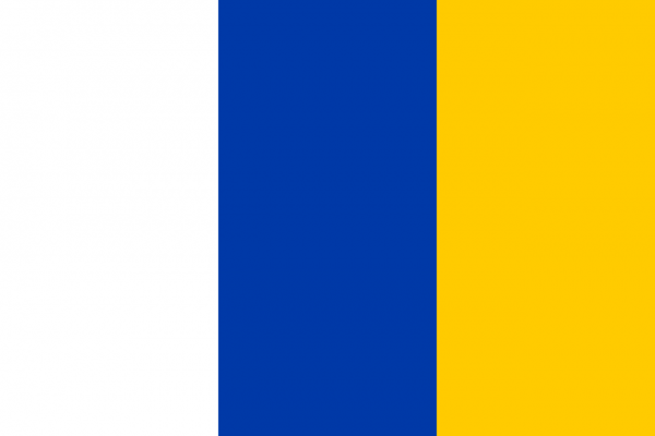 Vlag Doetinchem 30x45cm