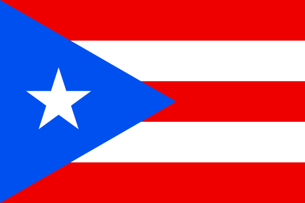 Vlag Puerto Rico 70x100cm