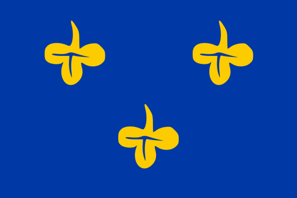 Grote vlag Zoeterwoude