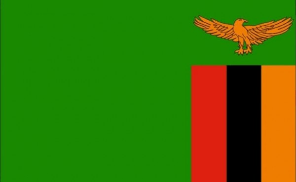 Vlag Zambia Zambiaanse vlaggen 30x45cm