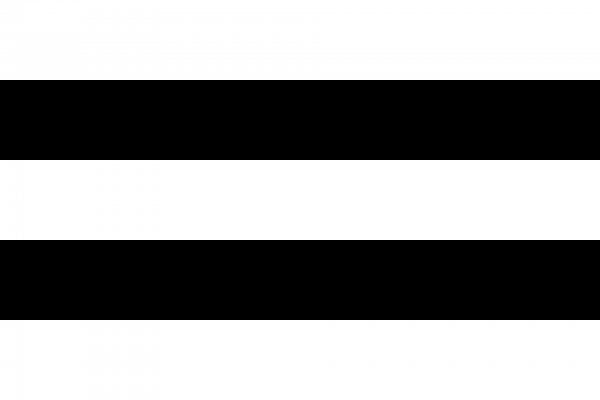Vlag Diest 100x150cm