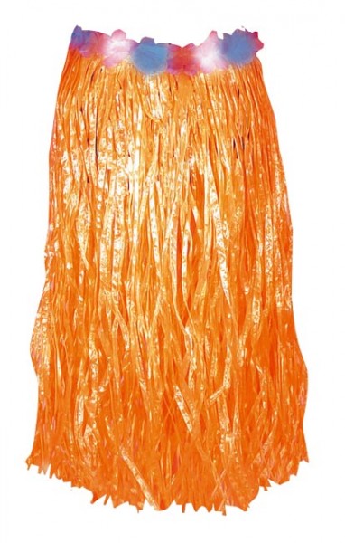 Hawaii rok Oranje Hawaiirok
