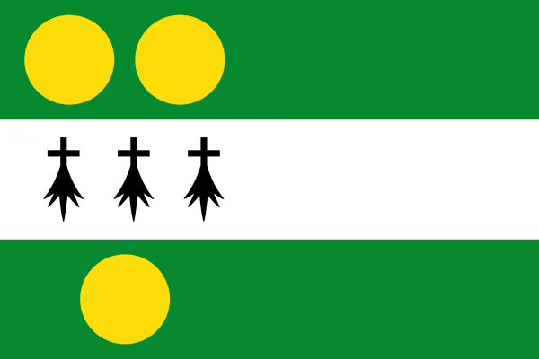 Grote vlag Anthisnes