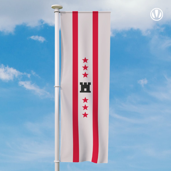Banier Drenthe Officiele vlag