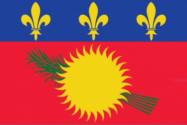Vlag Guadeloupe 30x45cm