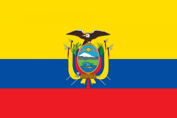 vlag ecuador 30x45 cm gastenvlag