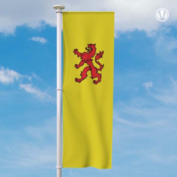 Banier Zuid Holland vlag