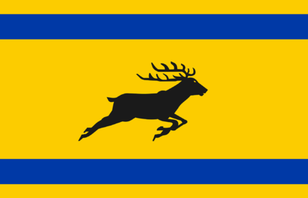 Grote vlag Veluwe