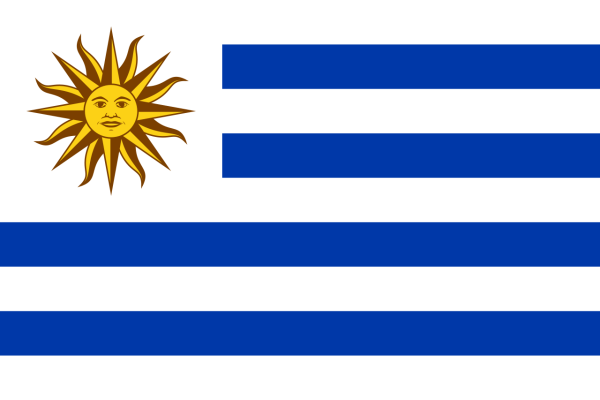 Vlag Uruguay 70x100cm