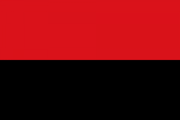Vlag Zoutleeuw
