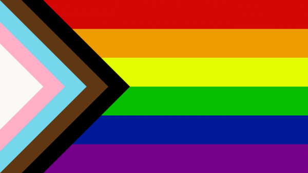 Progress vlag 30x45