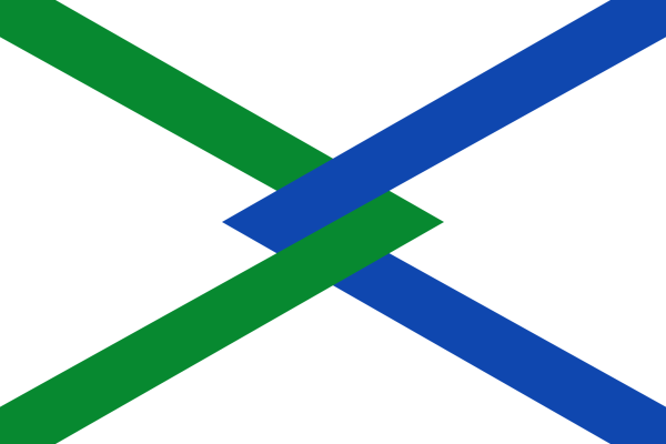 Vlag Hamme 120x180cm