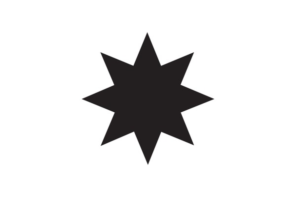Vlag Alphen aan de Rijn 120x180