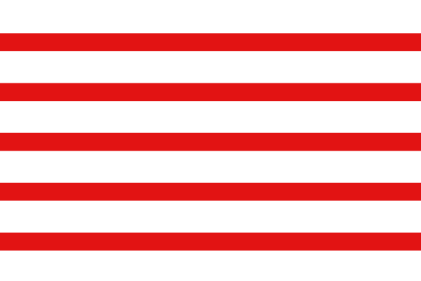 Vlag Haacht 120x180cm