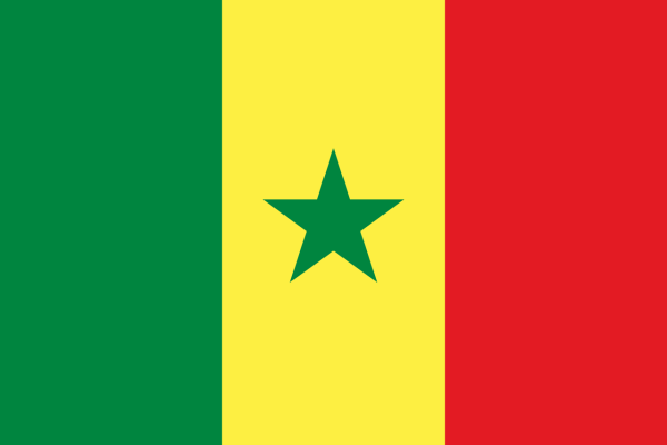 Vlag Senegal 70x100cm