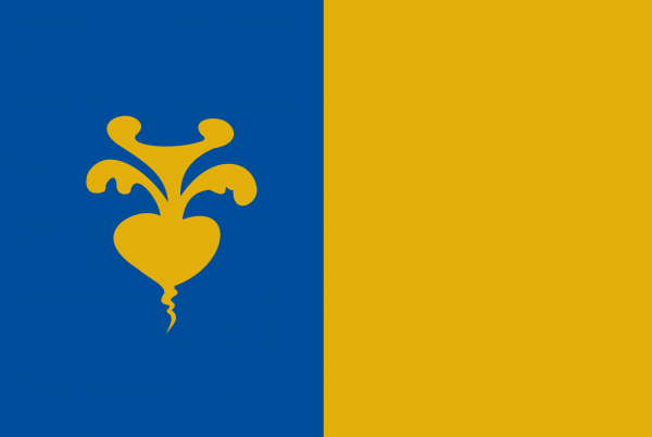 Grote vlag Sint-Niklaas