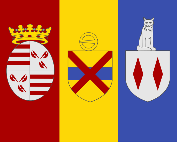 Vlag Londerzeel 120x180cm
