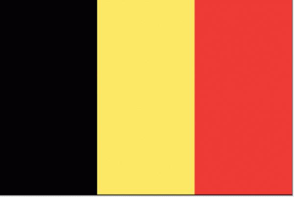 Belgische vlag België 50x75cm gastenvlag