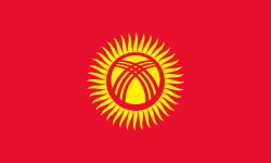 vlag Kirgizië | Kirgizische vlaggen 200x300cm mastvlag