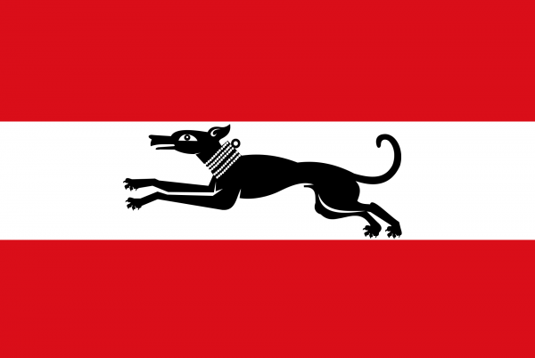 Vlag Damme