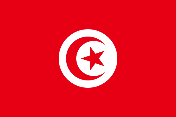 vlag Tunesië | Tunesische vlaggen 40x60cm