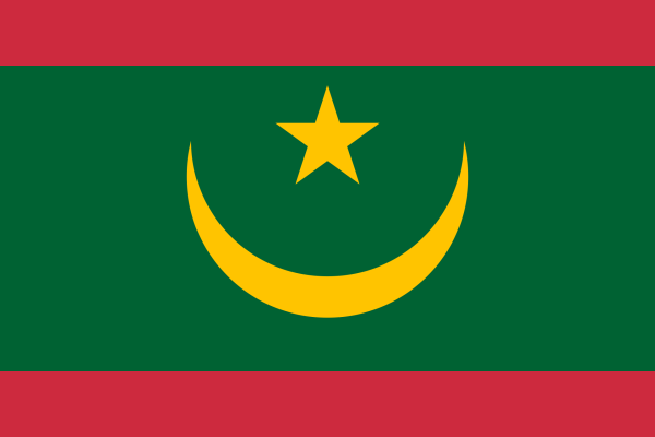 Vlag Mauritanië 70x100cm