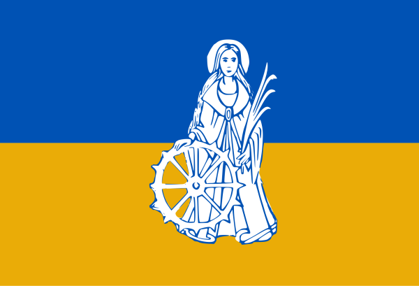 Vlag Wachtebeke 120x180cm