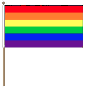 Zwaaivlag Regenboog 15x22,5cm met stok van 30cm