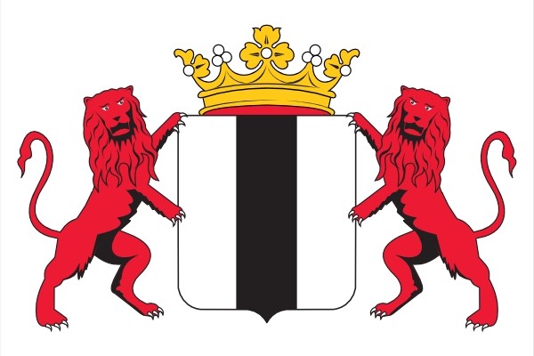 vlag Delft met wapen en leeuwen 100x150cm