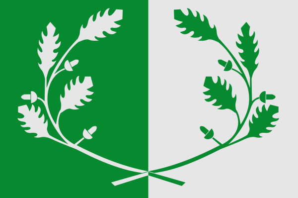 Vlag Eeklo 120x180cm