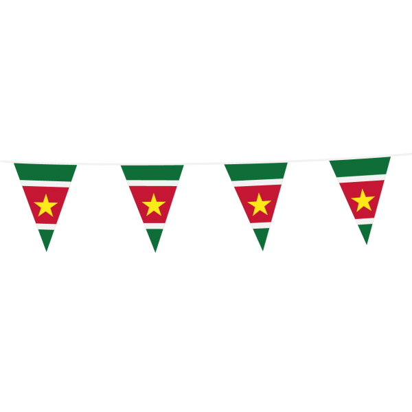 Vlaggenlijn Suriname 10 meter