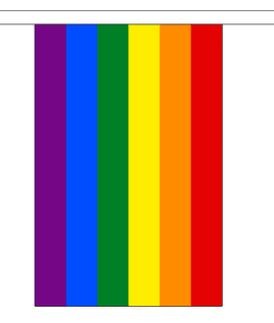 Vlaggenlijn regenboog 9m, 30 vlaggetjes van 15x22.5cm