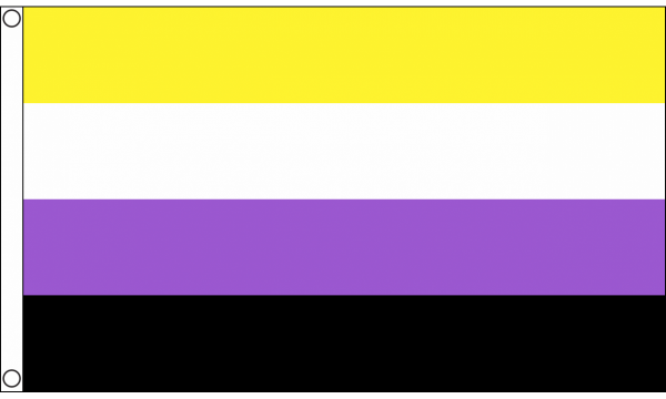 Non Binaire Vlag 90x150