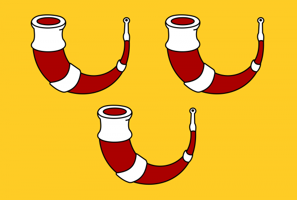 Grote vlag Kinrooi