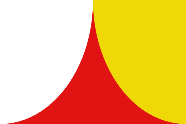 Vlag Steenokkerzeel 120x180cm