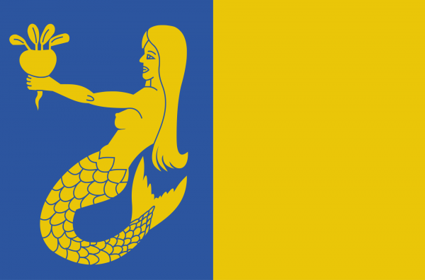 Grote vlag Waasmunster