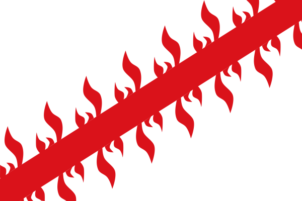 Vlag Moeskroen 120x180cm