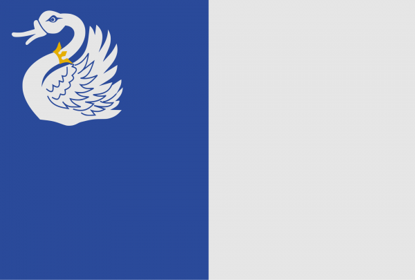 Grote vlag Tongeren