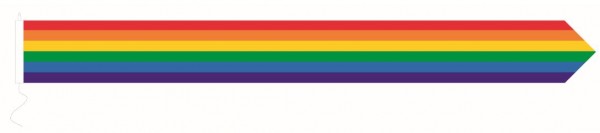 Wimpel Regenboog 30x300cm met koord en lus