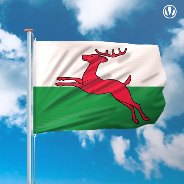 Mastvlag Smallingerland
