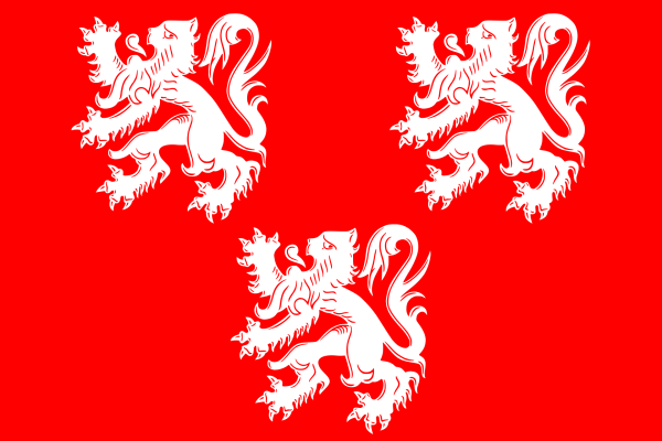 Vlag Gavere 120x180cm