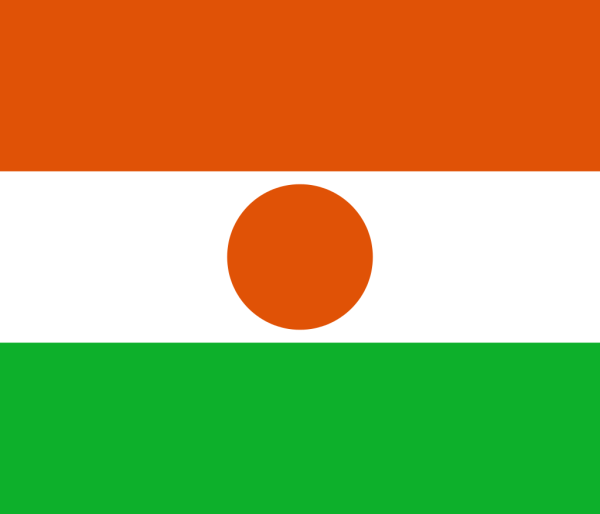 Vlag Niger 70x100cm