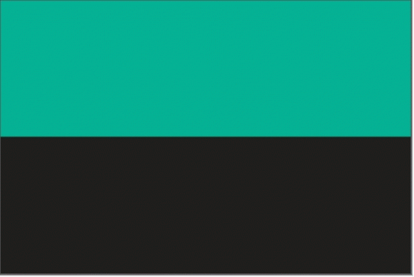 Vlag gemeente Texel | Texelse vlaggen 30x45cm